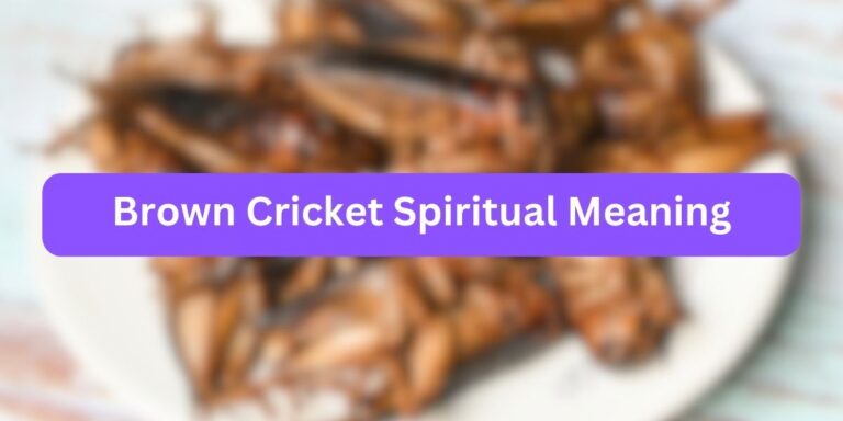Brown Cricket Spiritual Meaning (Symbolic Power)