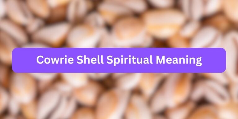 Cowrie Shell Spiritual Meaning (Hidden Facts)