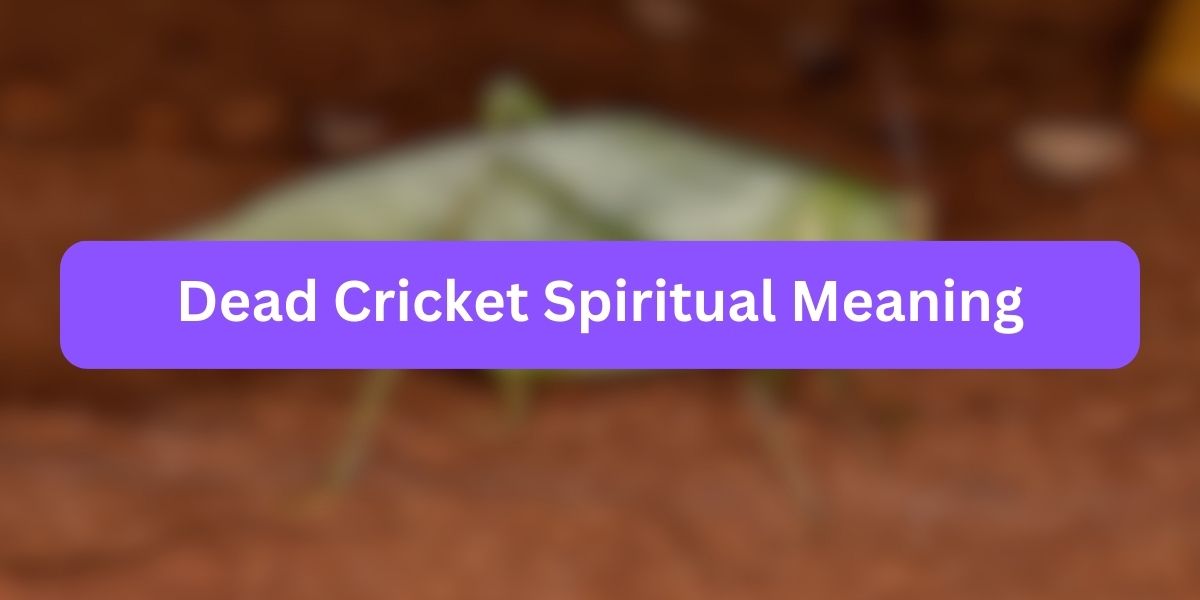 Dead Cricket Spiritual Meaning
