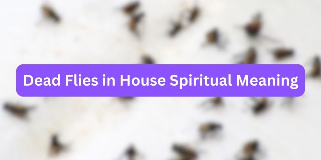 dead-flies-in-house-spiritual-meaning