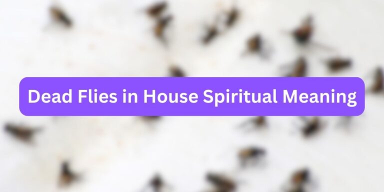 Dead Flies in House Spiritual Meaning (with Facts)