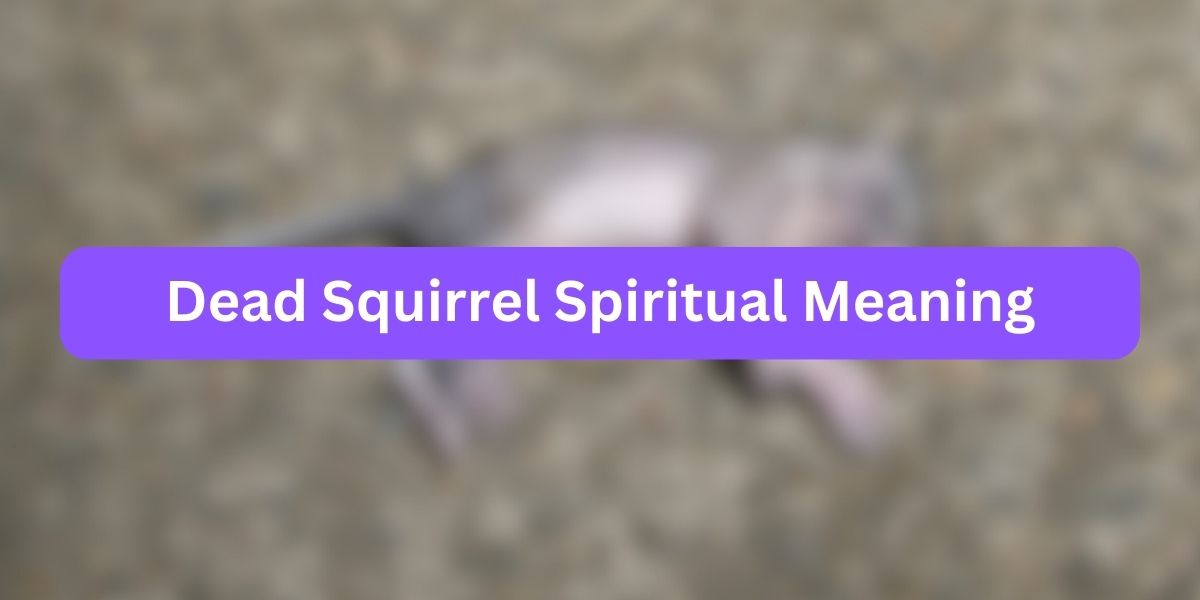 Dead Squirrel Spiritual Meaning