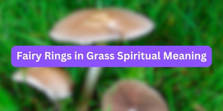 Fairy Rings in Grass Spiritual Meaning (Mystical Secrets)