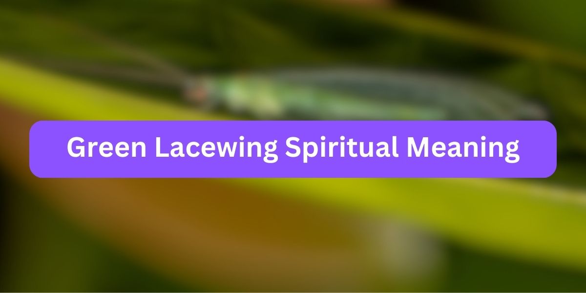 Green Lacewing Spiritual Meaning