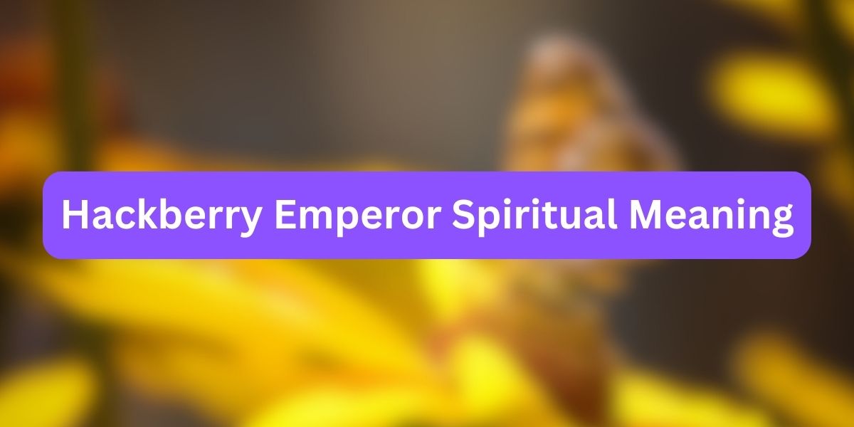 Hackberry Emperor Spiritual Meaning