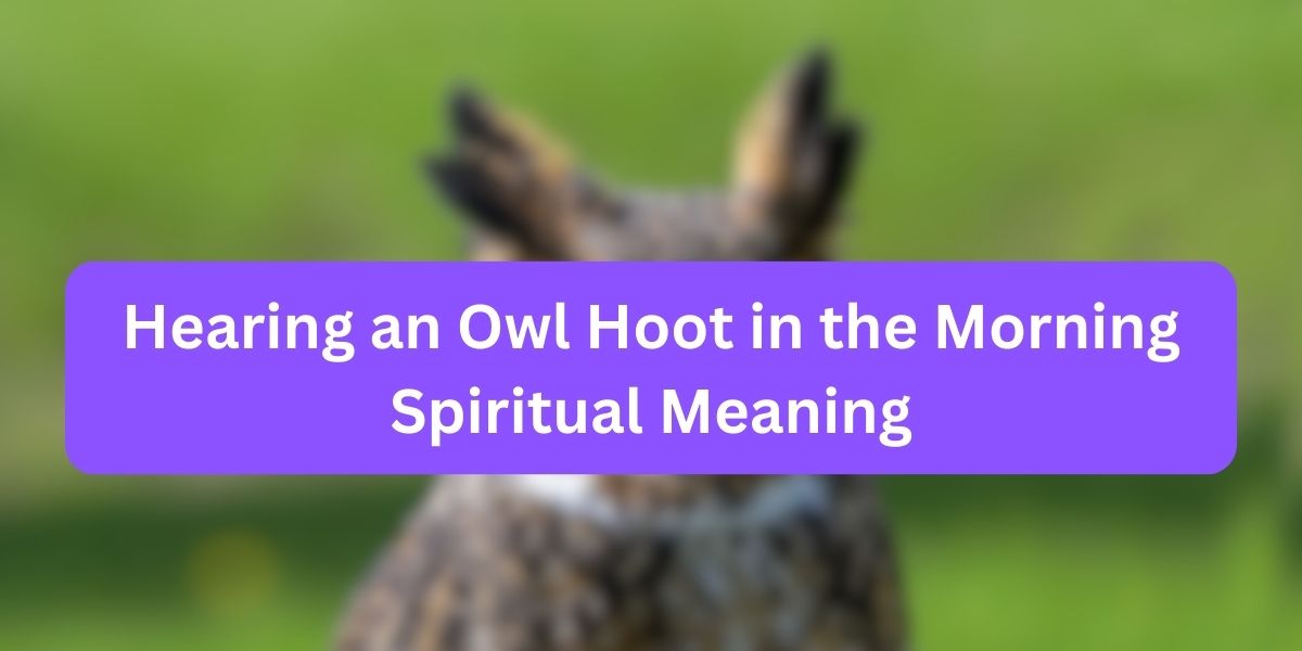 Hearing An Owl Hoot In The Morning Spiritual Meaning