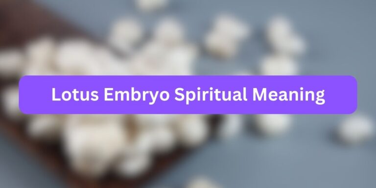 Lotus Embryo Spiritual Meaning (7+ Facts)