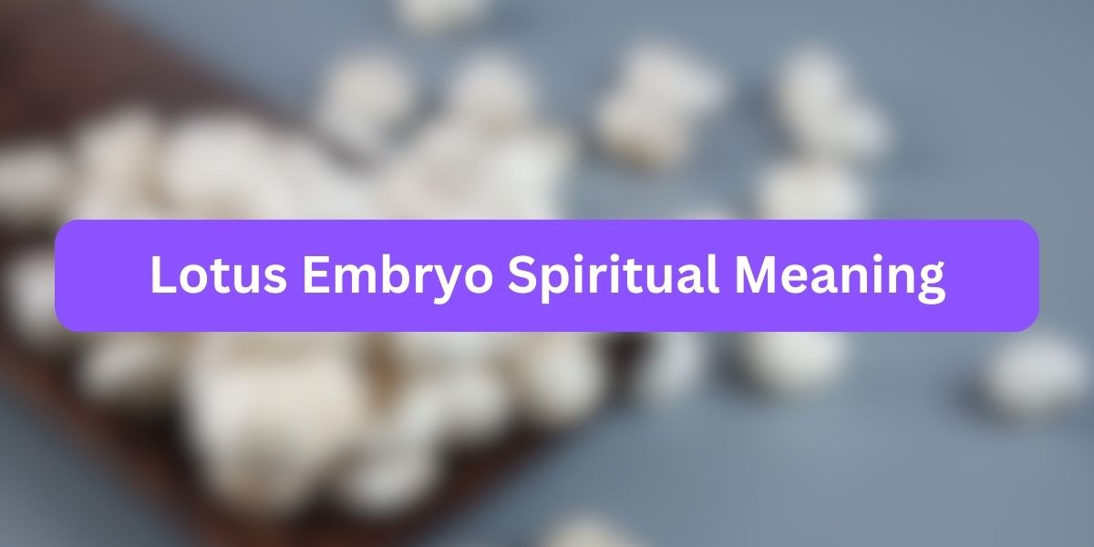 Lotus Embryo Spiritual Meaning