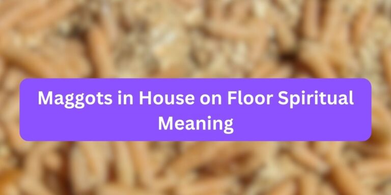 Maggots in House on Floor Spiritual Meaning