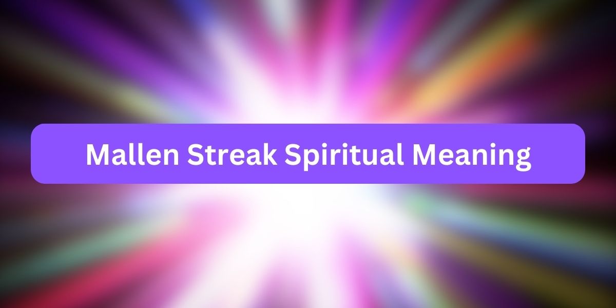 Mallen Streak Spiritual Meaning