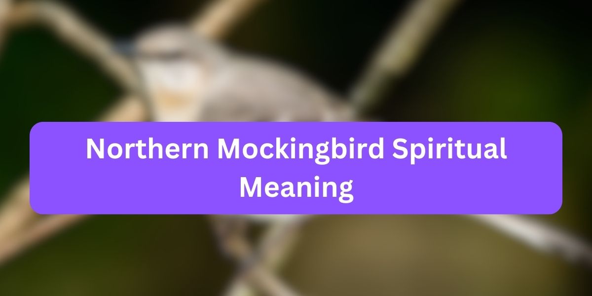 Northern Mockingbird Spiritual Meaning