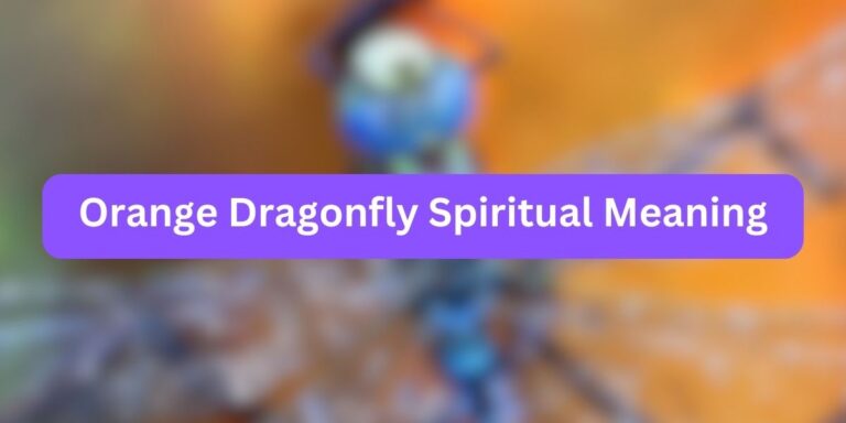 Orange Dragonfly Spiritual Meaning (Nature Factors)