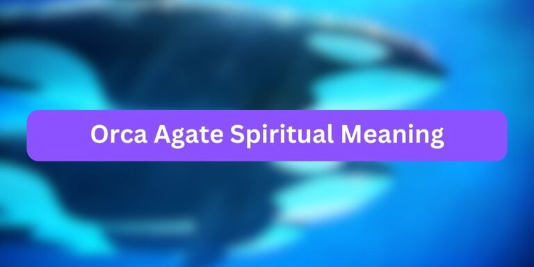Orca Agate Spiritual Meaning (Must Read)