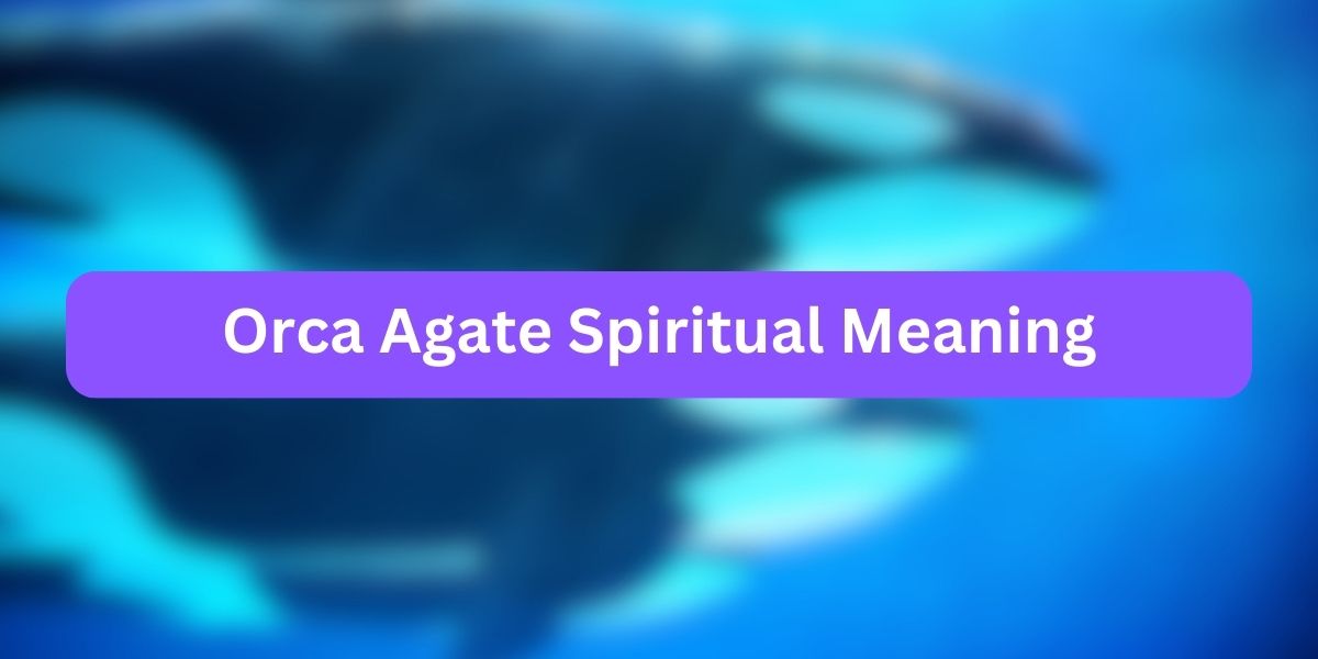 Orca Agate Spiritual Meaning
