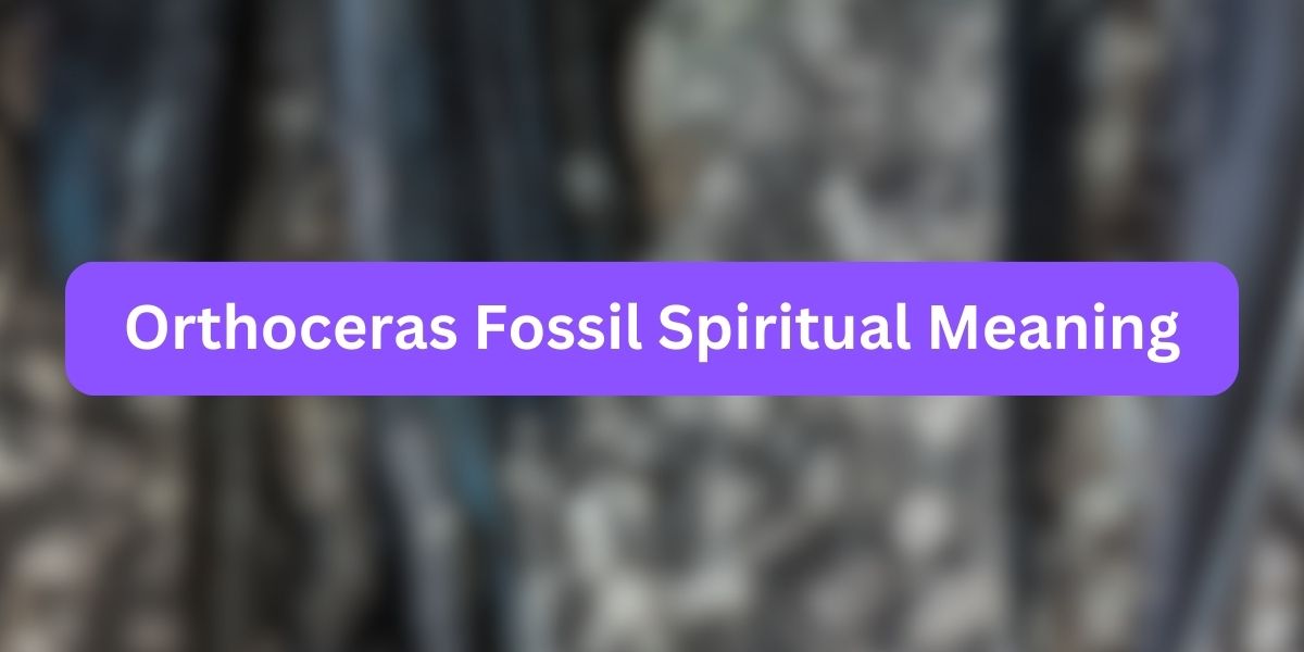 Orthoceras Fossil Spiritual Meaning