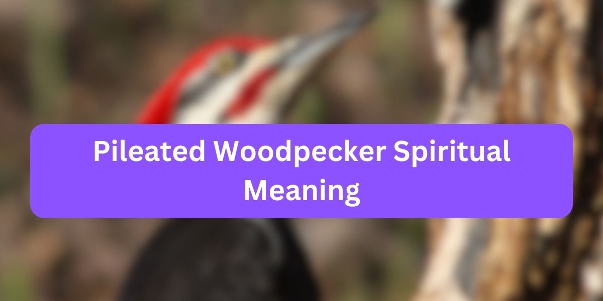 Pileated Woodpecker Spiritual Meaning