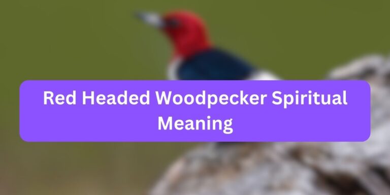 Red Headed Woodpecker Spiritual Meaning (Myths Covered)