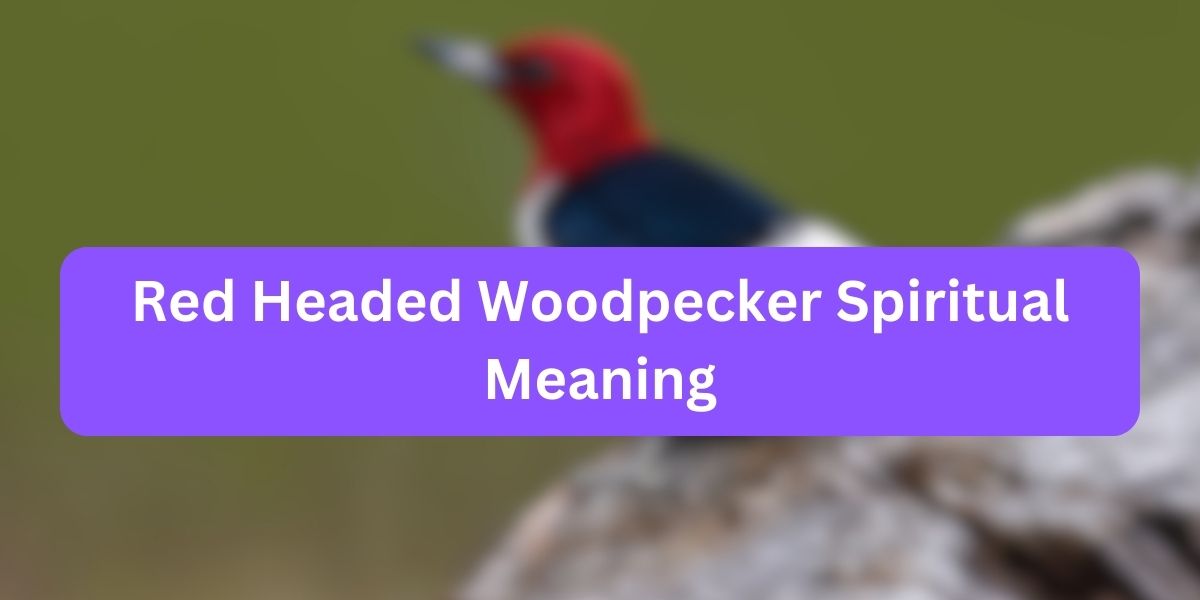 Red Headed Woodpecker Spiritual Meaning