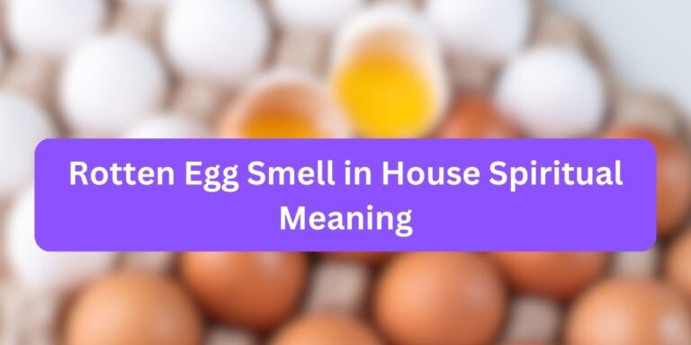 Rotten Egg Smell in House Spiritual Meaning