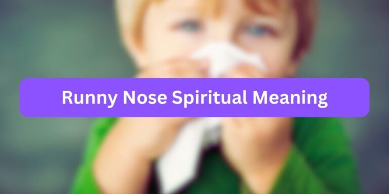 Runny Nose Spiritual Meaning (with Causes)
