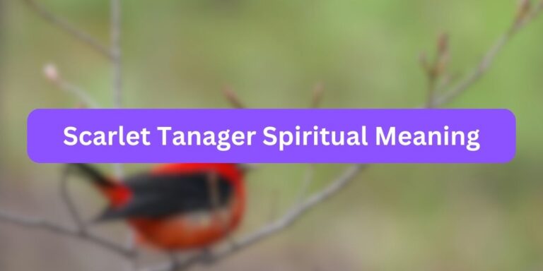 Scarlet Tanager Spiritual Meaning (Mystical Essence)