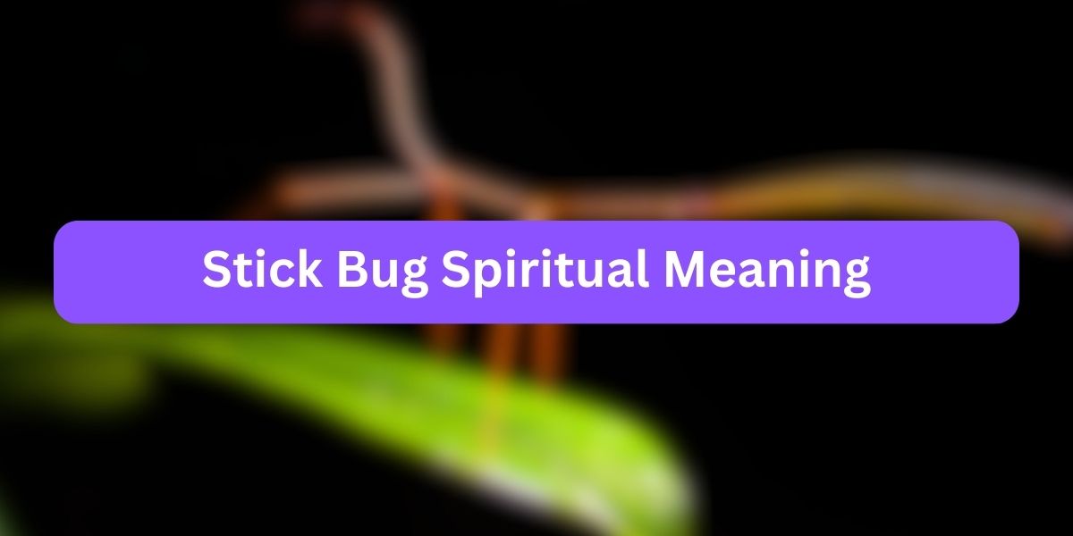 Stick Bug Spiritual Meaning