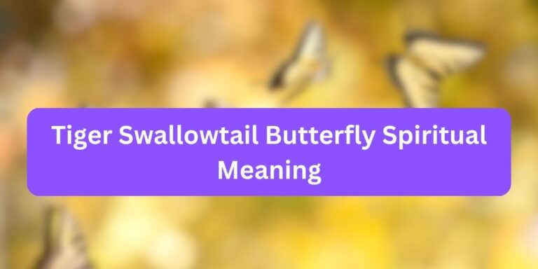 Tiger Swallowtail Butterfly Spiritual Meaning