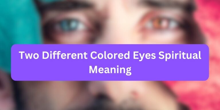 Two Different Colored Eyes Spiritual Meaning