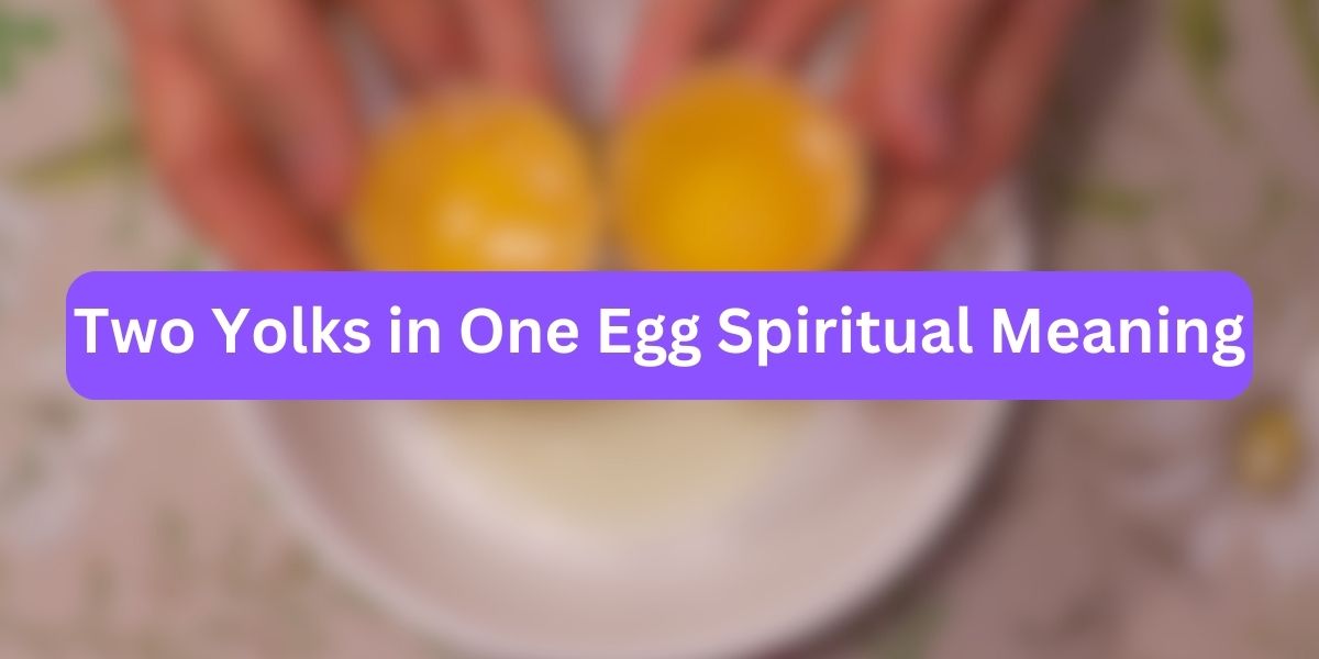Two Yolks in One Egg Spiritual Meaning
