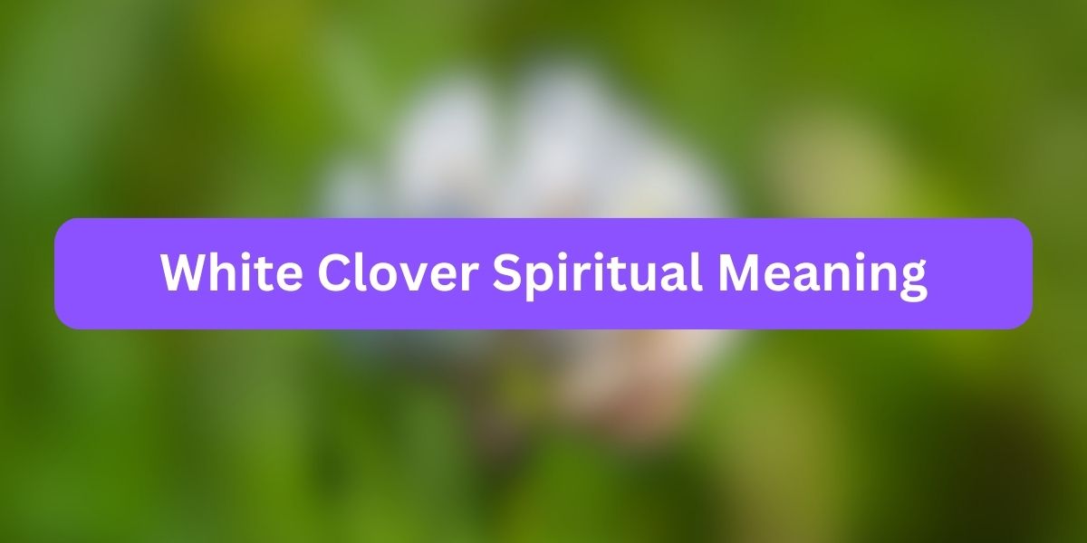 White Clover Spiritual Meaning