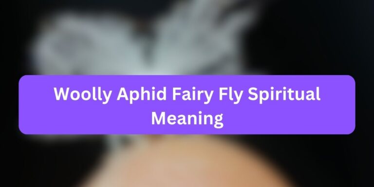 Woolly Aphid Fairy Fly Spiritual Meaning