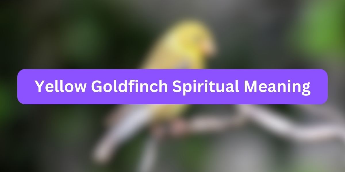 Yellow Goldfinch Spiritual Meaning