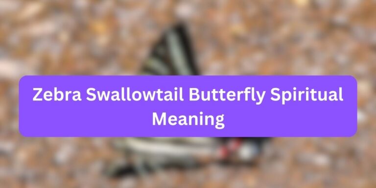 Zebra Swallowtail Butterfly Spiritual Meaning