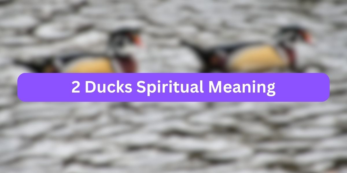 2 Ducks Spiritual Meaning