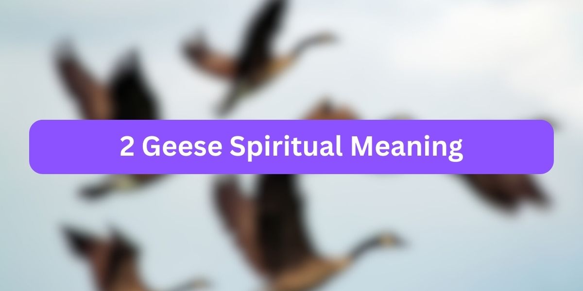 2 Geese Spiritual Meaning