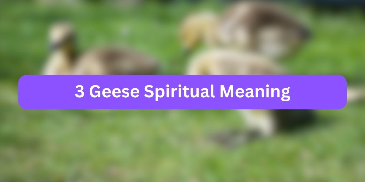 3 Geese Spiritual Meaning
