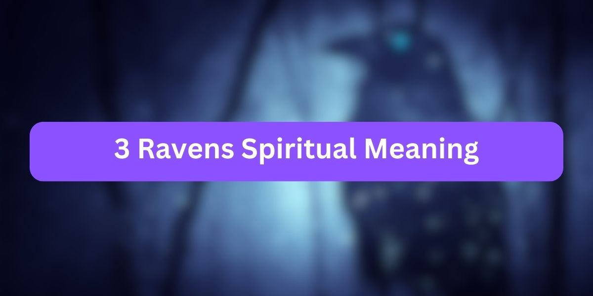 3 Ravens Spiritual Meaning