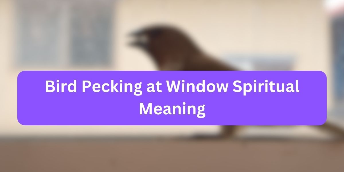 Bird Pecking at Window Spiritual Meaning