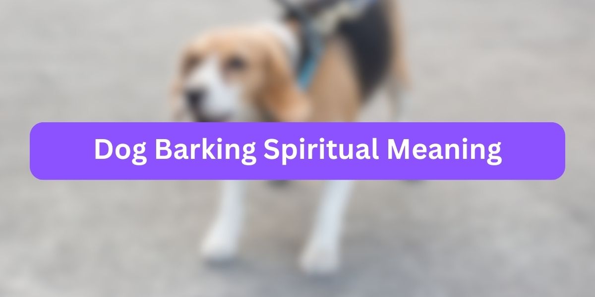Dog Barking Spiritual Meaning