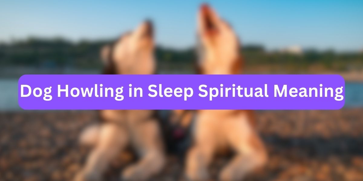 Dog Howling in Sleep Spiritual Meaning