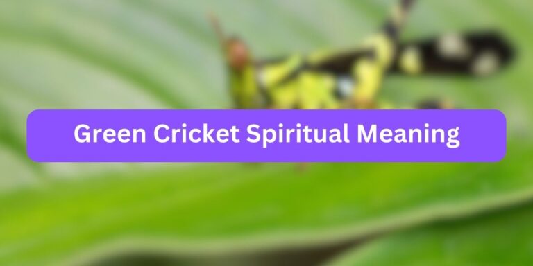 Green Cricket Spiritual Meaning (Insect Facts)
