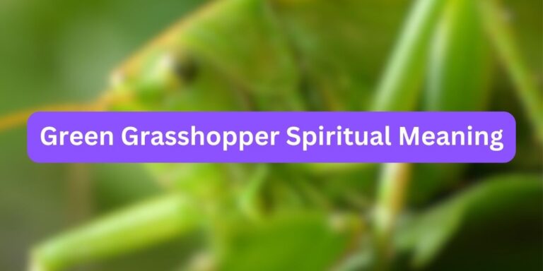 Green Grasshopper Spiritual Meaning (Proper Facts)
