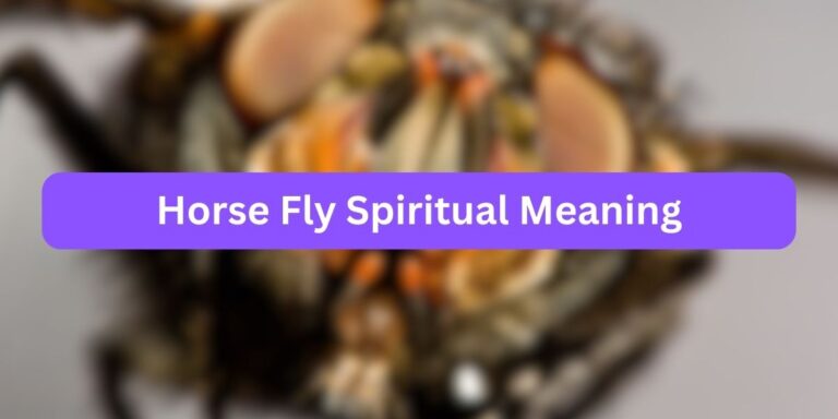 Horse Fly Spiritual Meaning (Mystery Revealed)