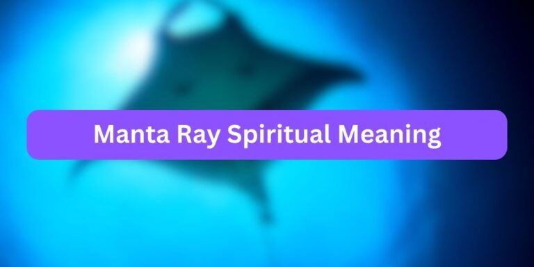 Manta Ray Spiritual Meaning (Interesting Facts)
