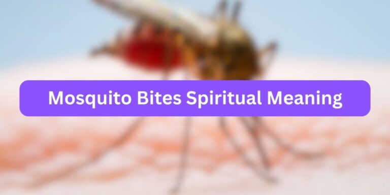 Mosquito Bites Spiritual Meaning (Risks Included)