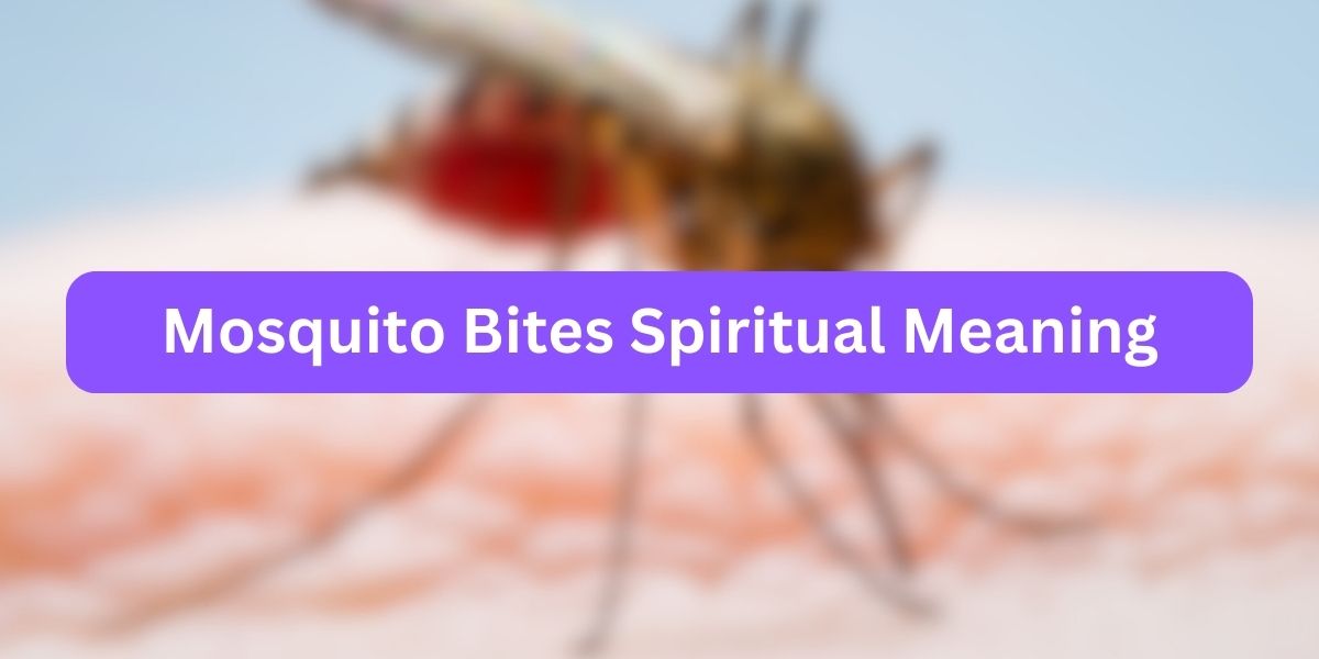 Mosquito Bites Spiritual Meaning