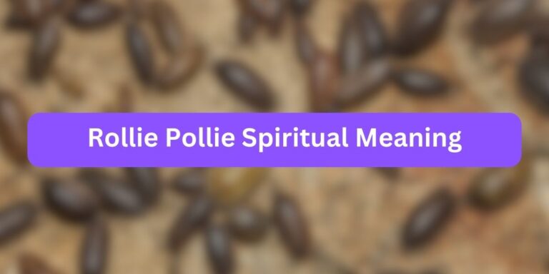 Rollie Pollie Spiritual Meaning: Things to Know!