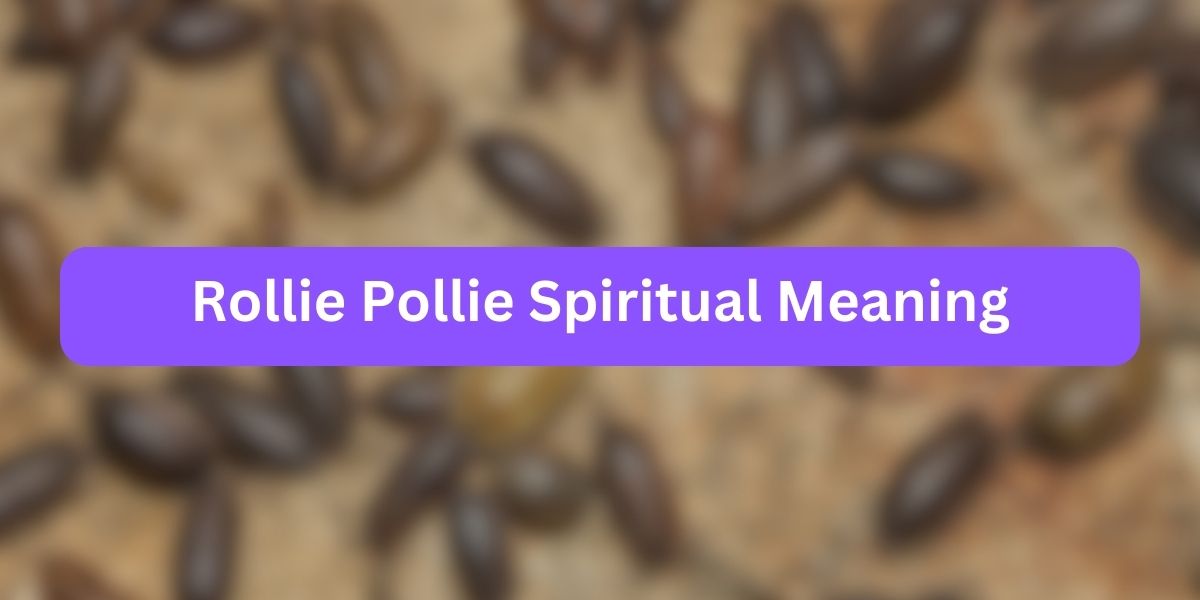 Rollie Pollie Spiritual Meaning