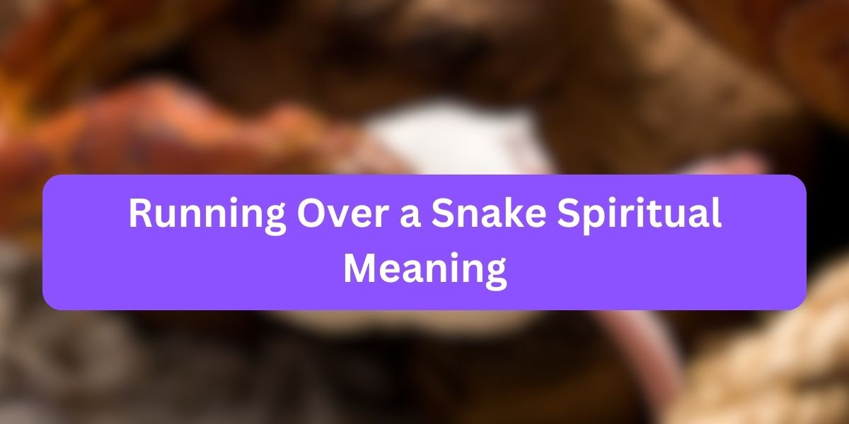 Running Over a Snake Spiritual Meaning