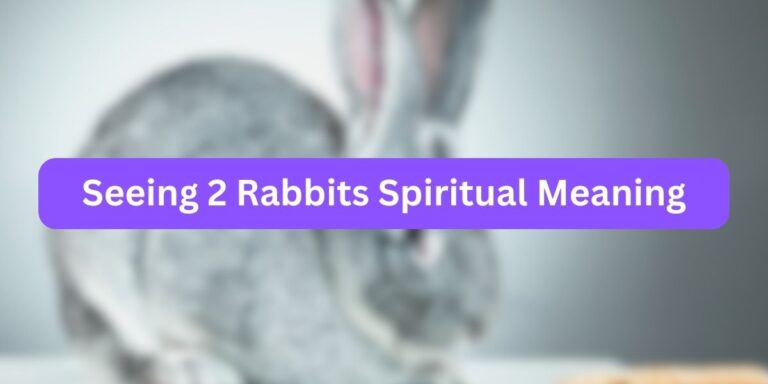 Seeing 2 Rabbits Spiritual Meaning (Mystical Facts)